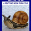 Facts About the Snail (A Picture Book For Kids)