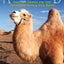 Asia Overland: Tales of Travel on the Trans-Siberian & Silk Road (Odyssey Guides)