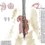 Classics Reimagined, Frankenstein