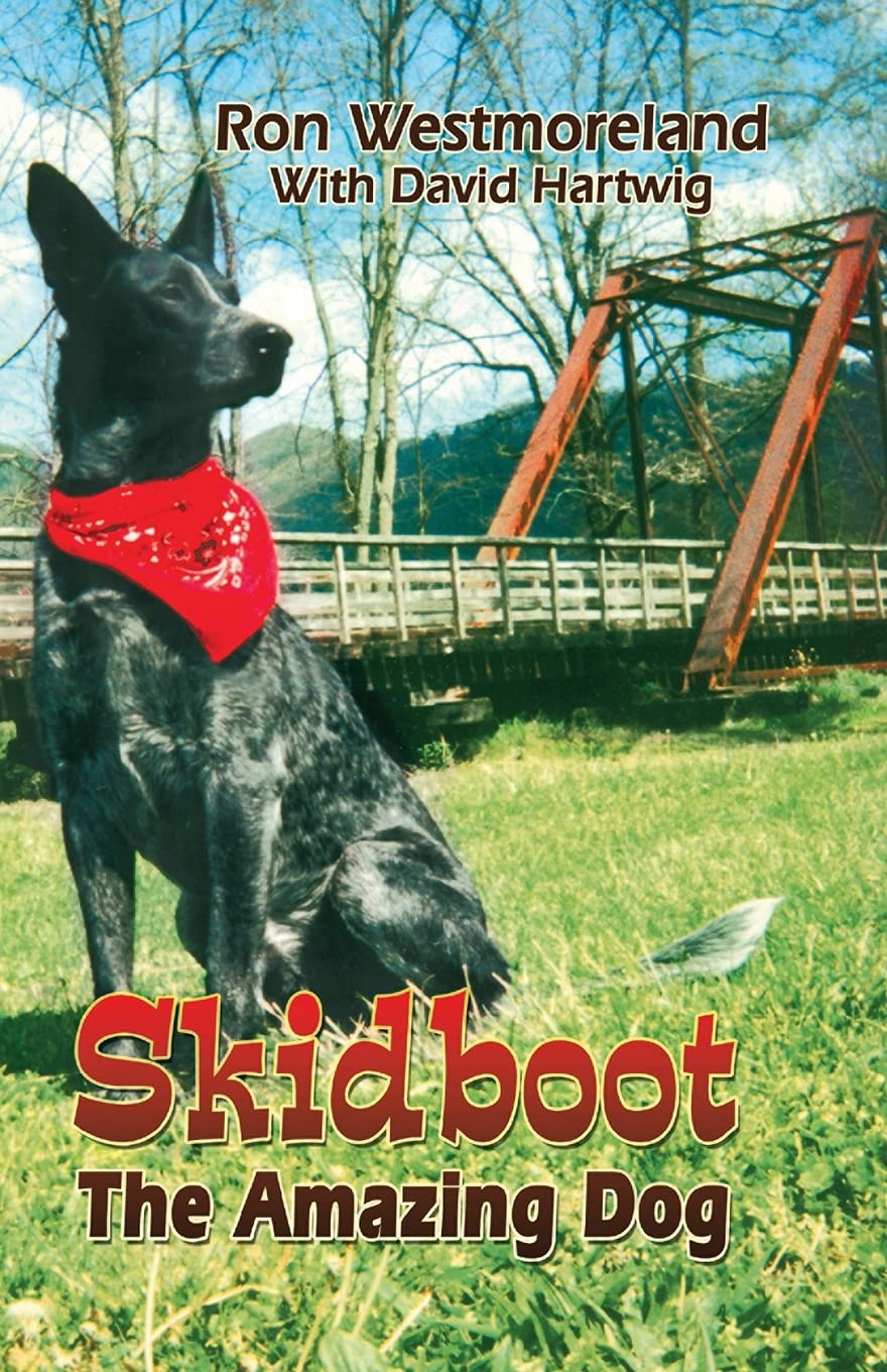 Skidboot the Amazing Dog