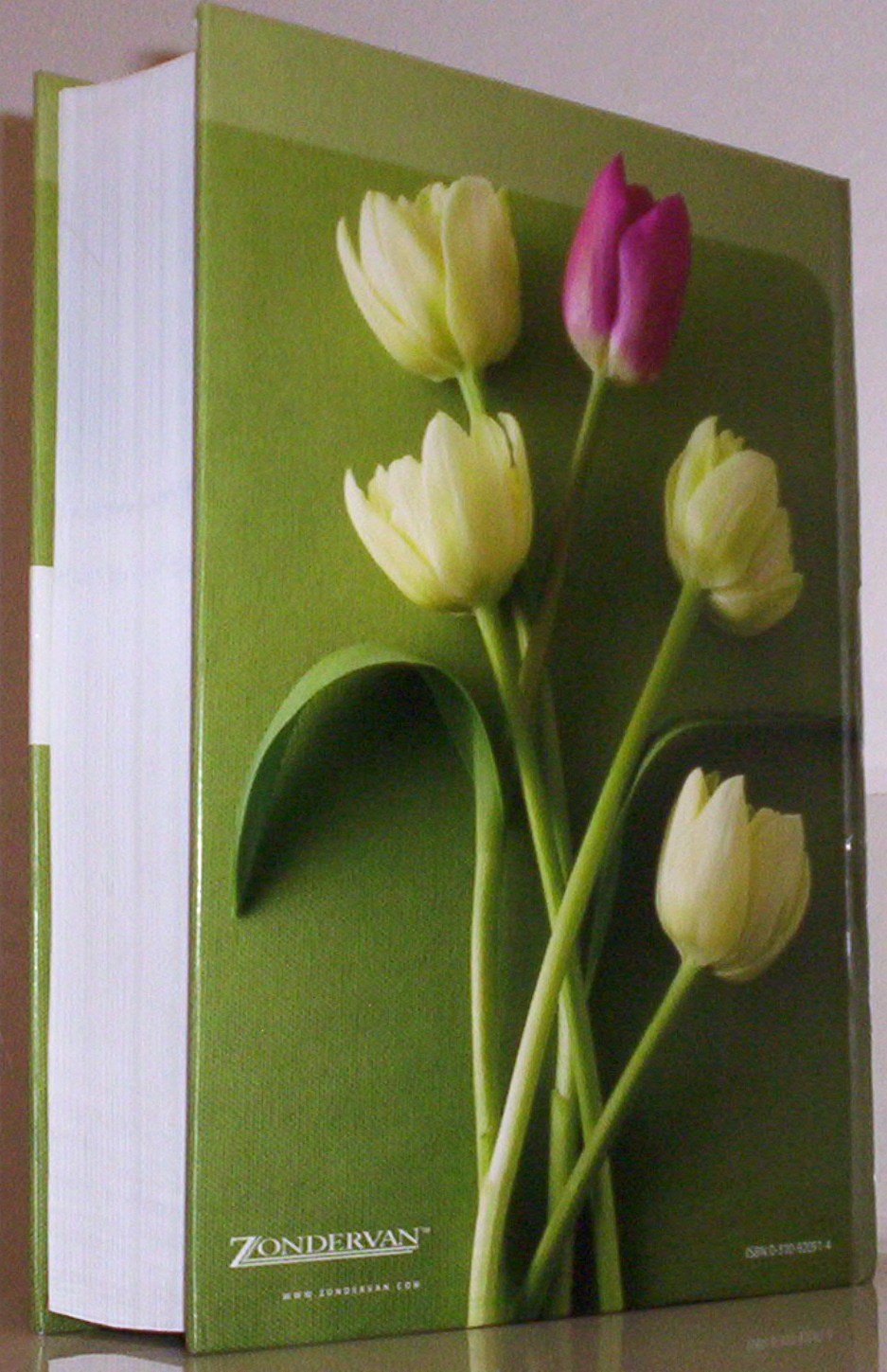 True Identity: The Bible for Women (TNIV) by Miakarts Books