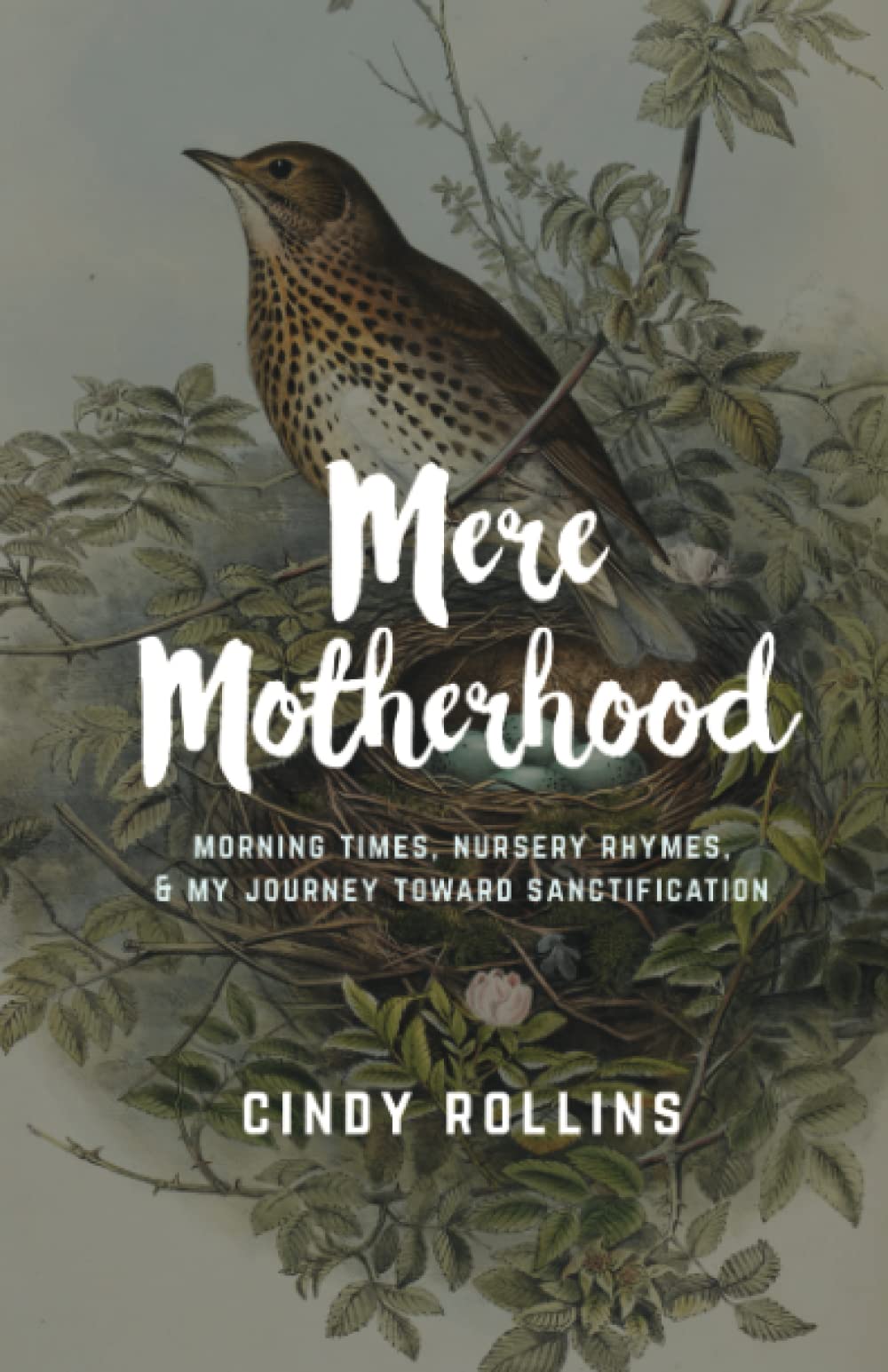 Mere Motherhood: Morning Times, Nursery Rhymes, & My Journey Toward Sanctification
