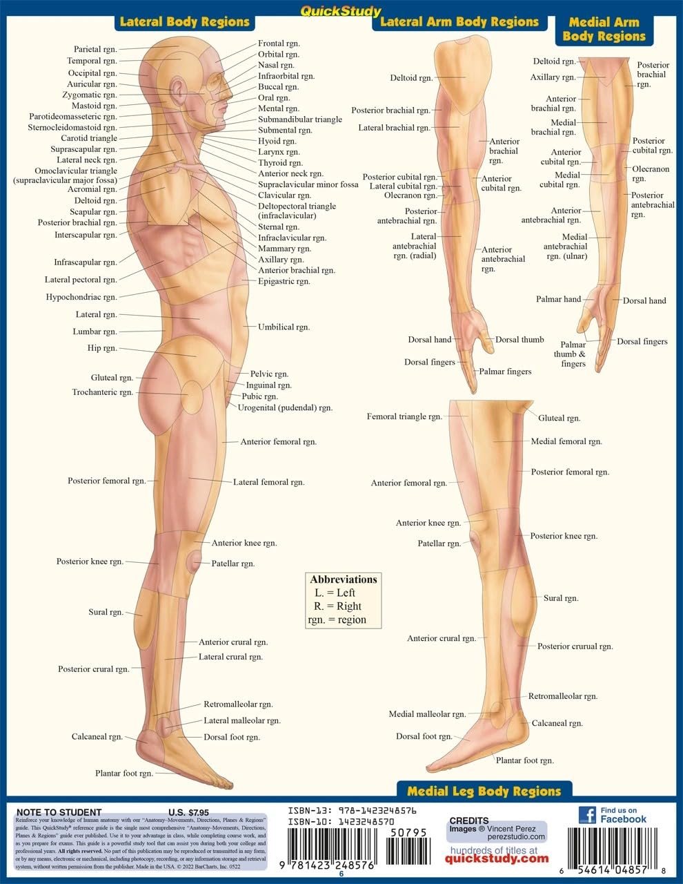 Anatomy - Directions, Planes, Movements & Regions: a QuickStudy Laminated Reference Guide