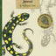 Swampwalker's Journal: A Wetlands Year