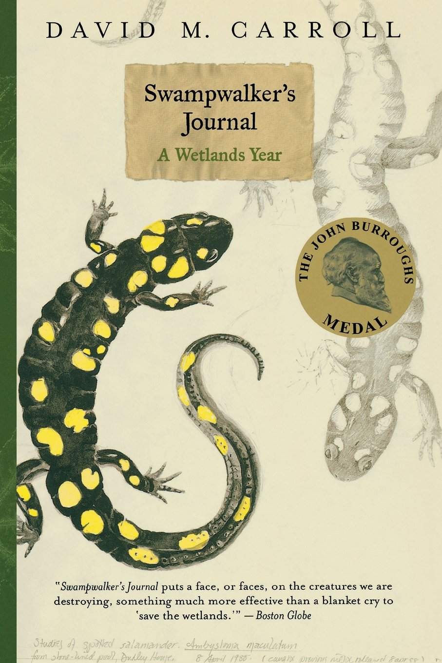 Swampwalker's Journal: A Wetlands Year