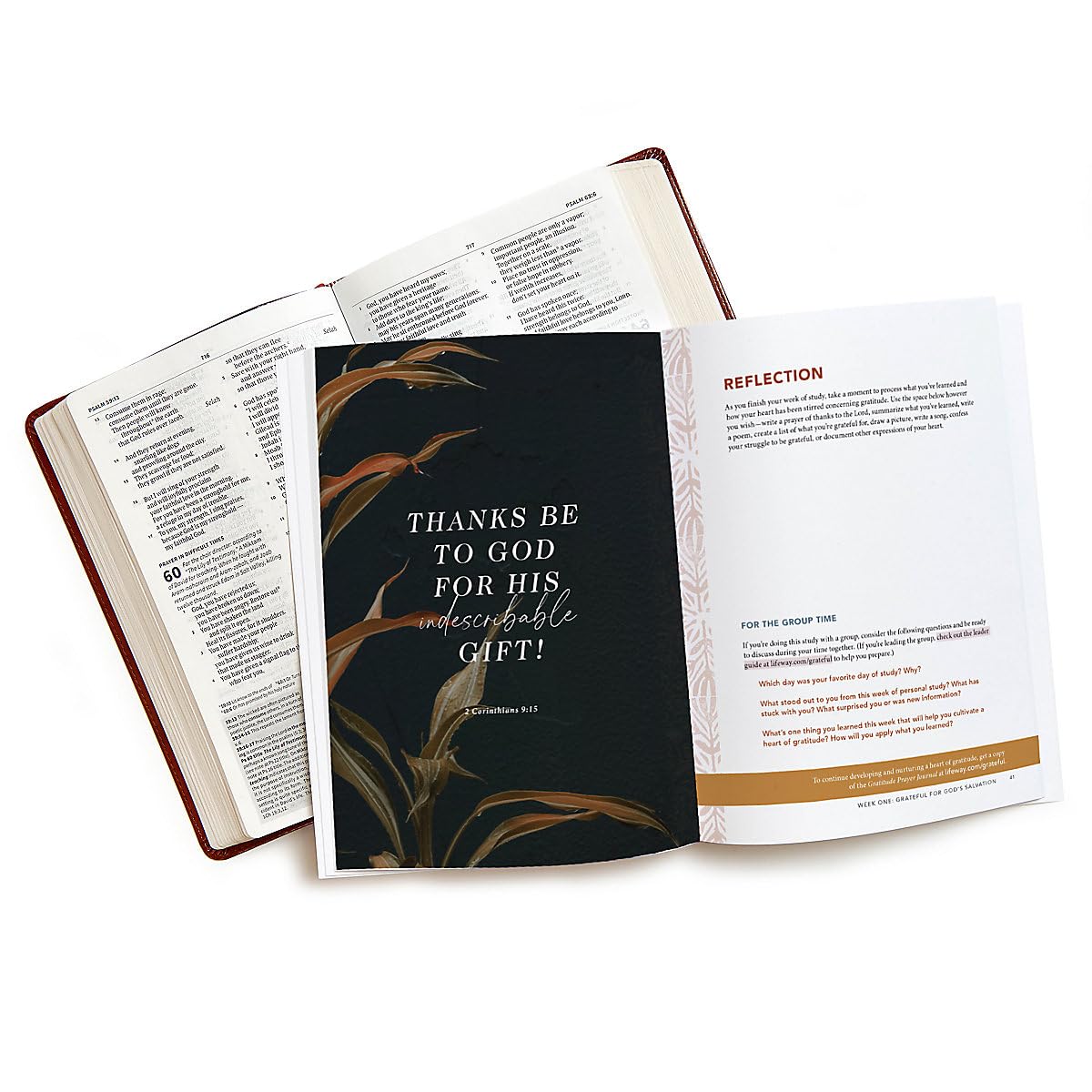 Grateful - Bible Study Book: Giving Thanks to God in All Things