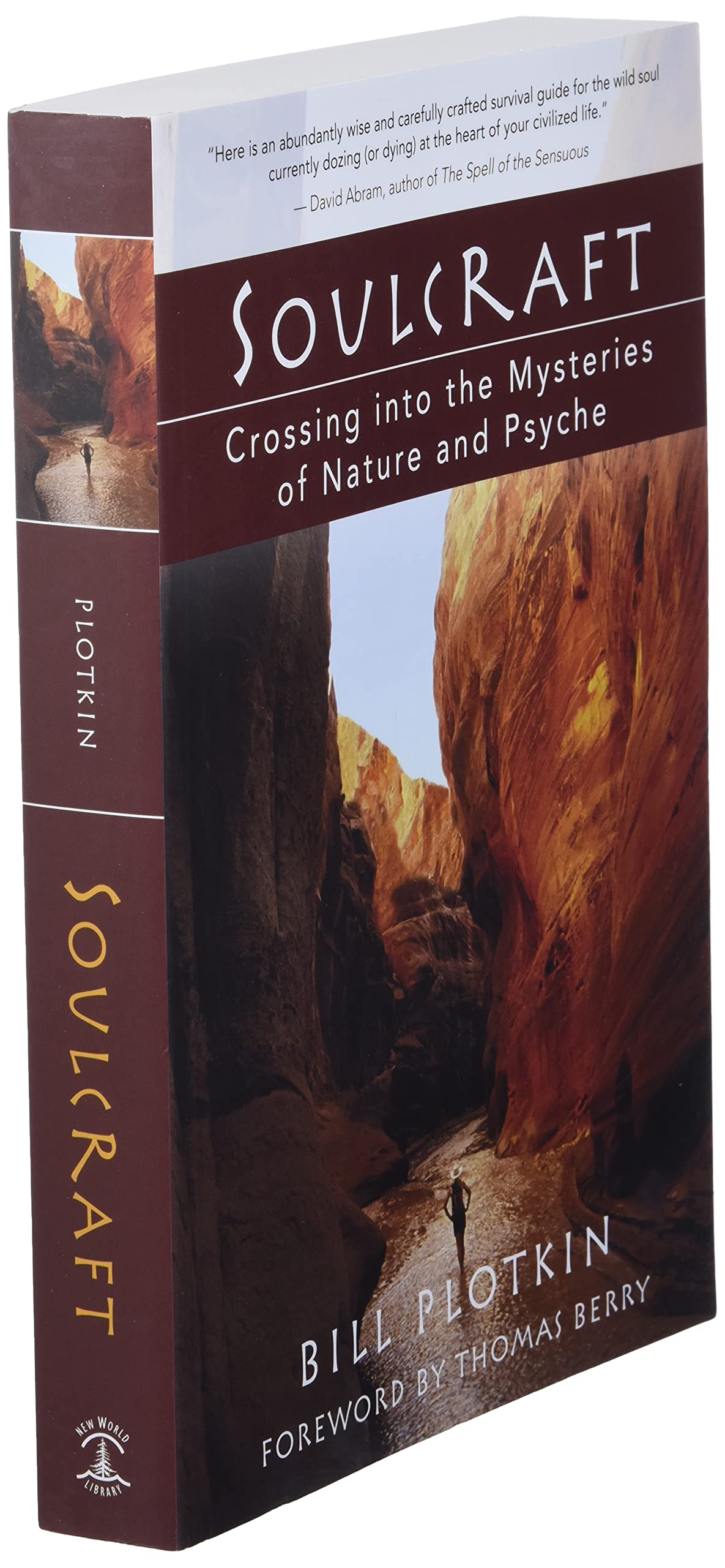 Soulcraft: Crossing into the Mysteries of Nature and Psyche