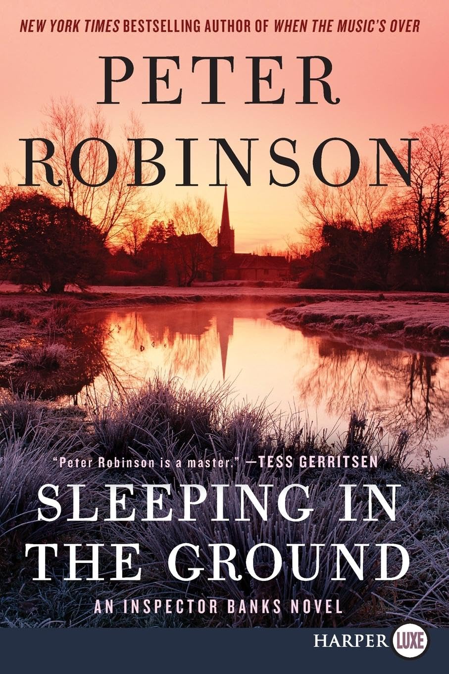 Sleeping in the Ground: An Inspector Banks Novel (Inspector Banks Novels, 24)