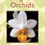 Fragrant Orchids: A Guide to Selecting, Growing, and Enjoying
