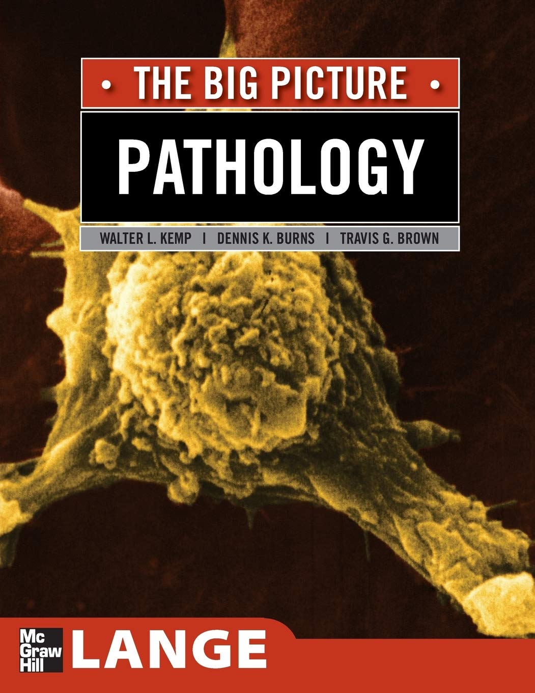 Pathology: The Big Picture (LANGE The Big Picture)
