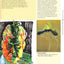 Color (Creative Painting Series)