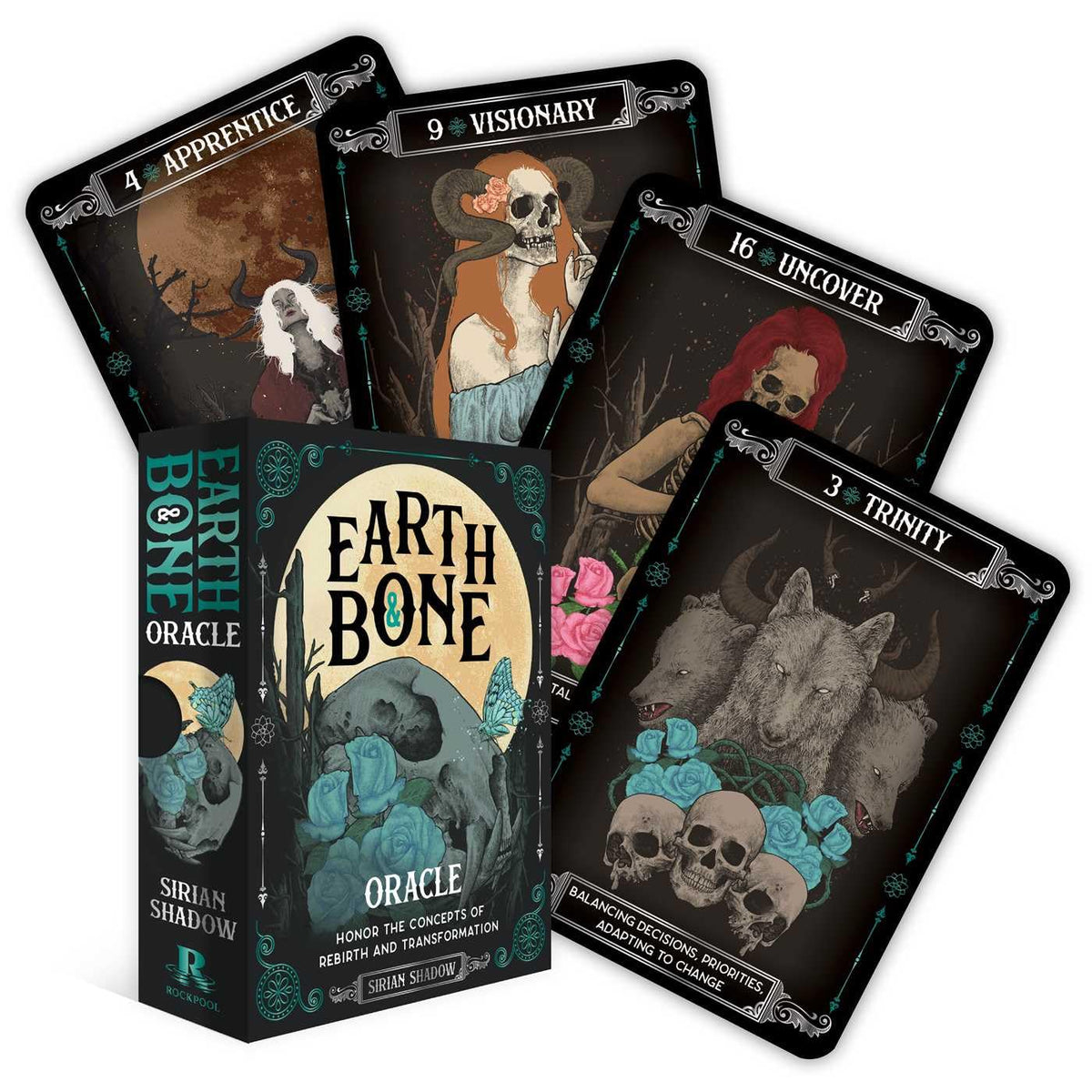 Earth & Bone Oracle: Honor the concepts of rebirth and transformation (Rockpool Oracle)