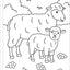 My First Coloring Book! On the Farm