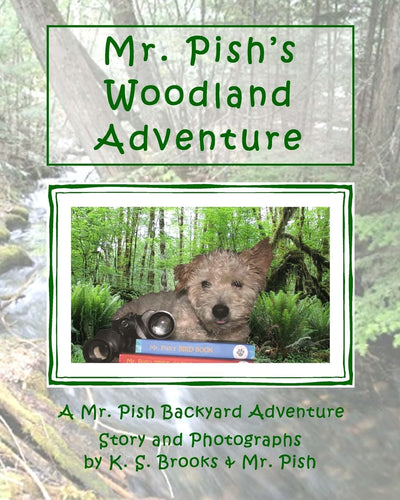 Mr. Pish's Woodland Adventure (Mr. Pish Backyard Adventure)