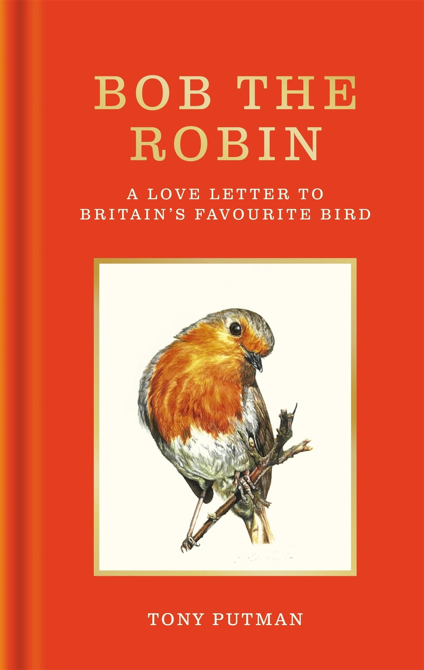 Bob the Robin: A love letter to Britains favourite bird