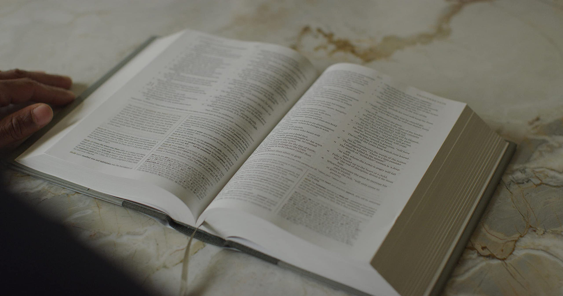 ESV Men's Study Bible (Hardcover): Holy Bible, English Standard Version