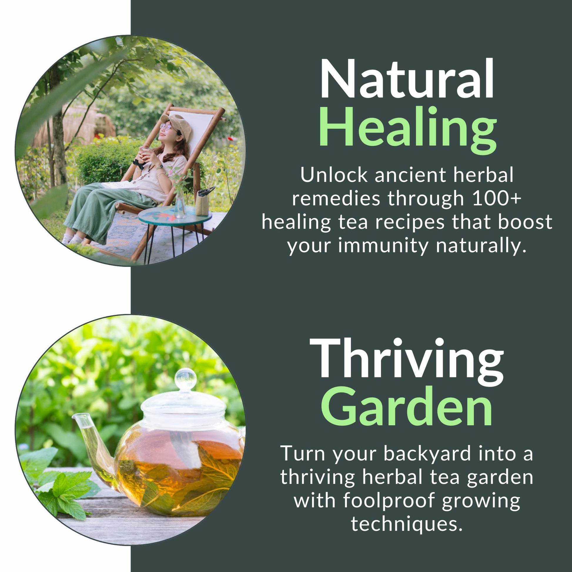The Healing Herbal Teas Beginners' Guide [All-in-1]: Everything on How to Brew, Enjoy, & Benefit from Therapeutic Brews. Featuring 100 Recipes for Stronger Immunity & Lifelong Vitality