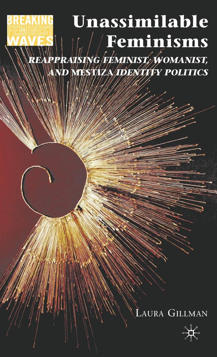 Unassimilable Feminisms: Reappraising Feminist, Womanist, and Mestiza Identity Politics (Breaking Feminist Waves)