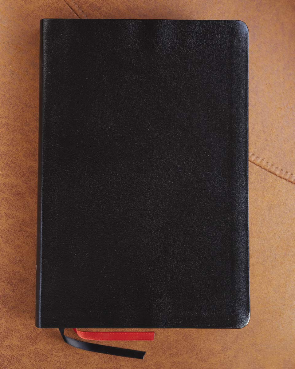NIV, Thinline Bible, Giant Print, Bonded Leather, Black, Red Letter, Comfort Print