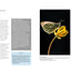Digital Macro & Close-up Photography: New Edition