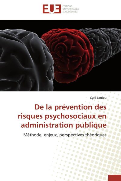 De la prévention des risques psychosociaux en administration publique: Méthode, enjeux, perspectives théoriques (Omn.Univ.Europ.) (French Edition)