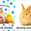 Baby Touch and Feel: Bunny