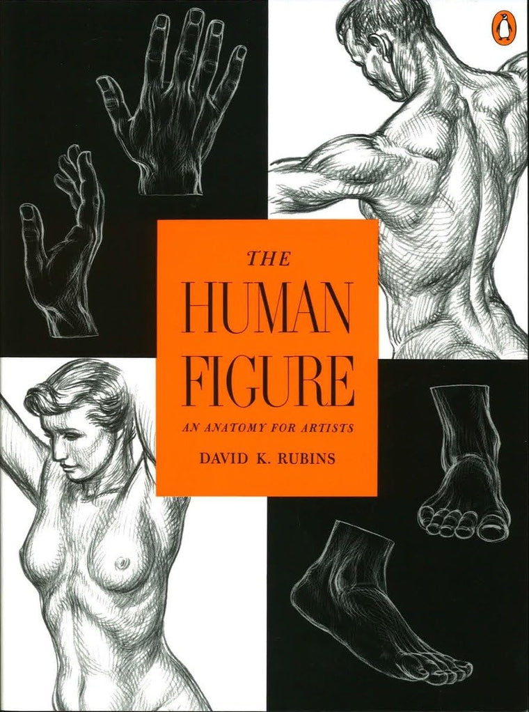 The Human Figure: An Anatomy for Artists by David K. Rubins