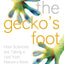 The Geckos Foot: How Scientists are Taking a Leaf from Nature's Book
