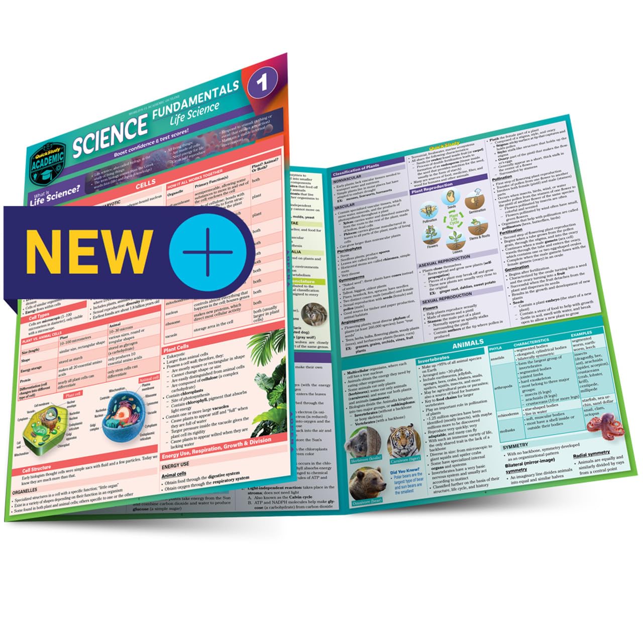 Science Fundamentals 1 - Life Science - Cells, Plants & Animals: QuickStudy Laminated Reference & Study Guide