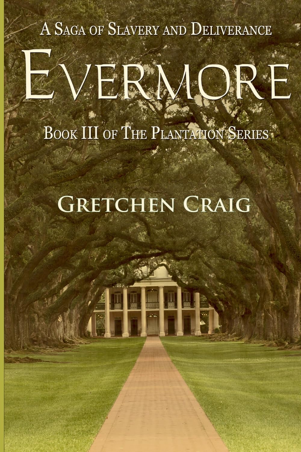 Evermore: A Saga of Slavery and Deliverance (The Plantation Series)