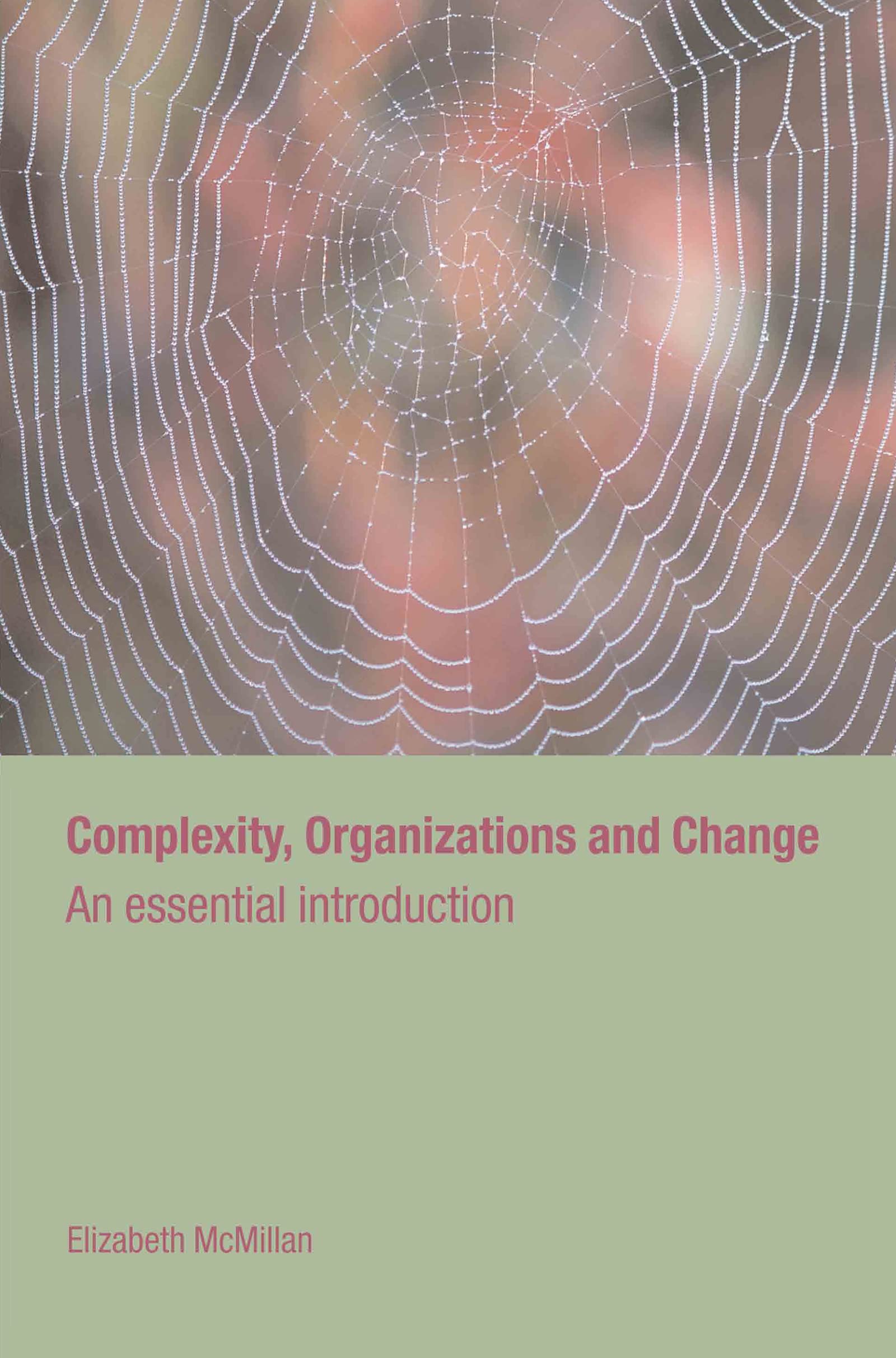 Complexity, Organizations and Change: An Essential Introduction (Routledge Studies in Complexity and Management)