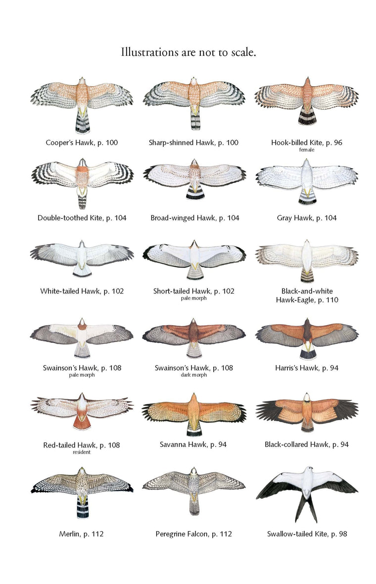 The Birds of Costa Rica: A Field Guide (Zona Tropical Publications) — back cover