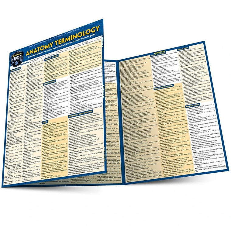 Anatomy Terminology Reference Guide: a QuickStudy Laminated Reference Guide (Quick Study Academic)