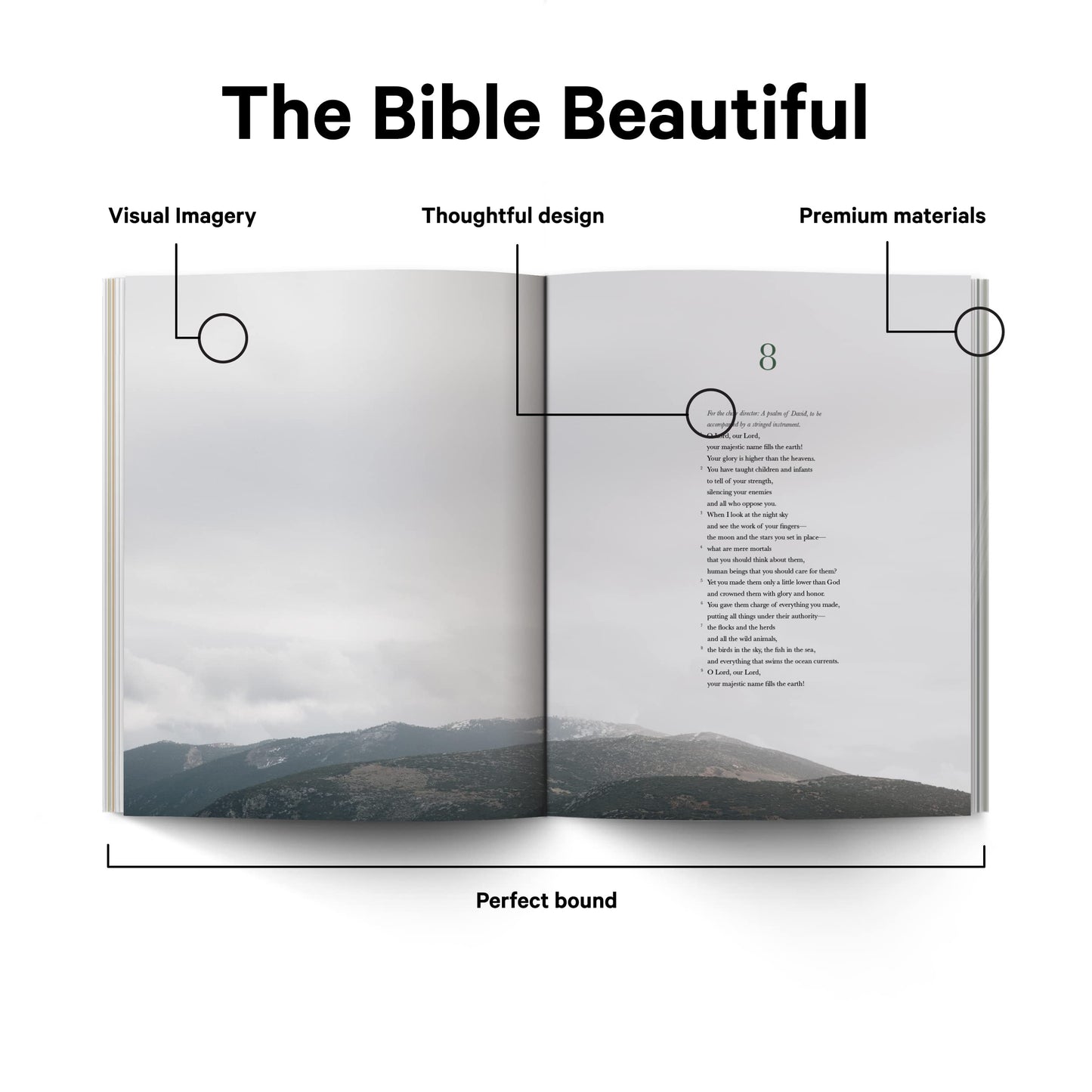 Book of Psalms - Alabaster Bible by Alabaster Co.