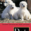 Dogs: A New Understanding of Canine Origin, Behavior and Evolution