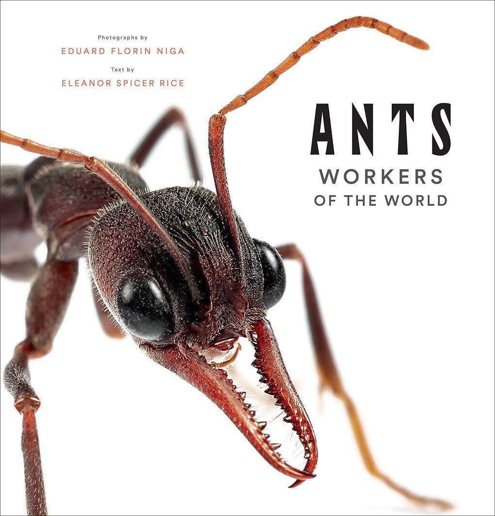 Ants: Science book on ant societies, castes, and global ecological roles.