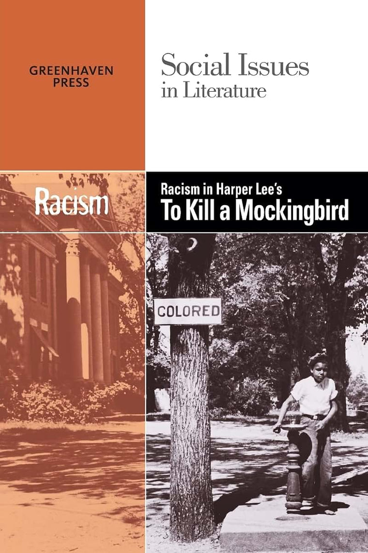 Racism in Harper Lee's 'To Kill a Mockingbird' (Social Issue