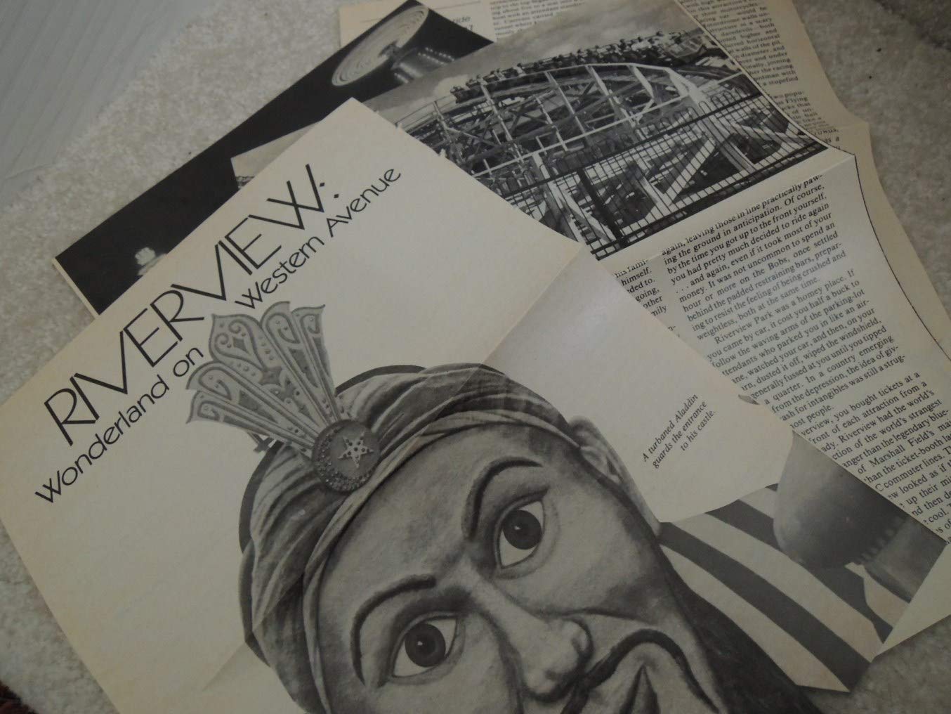 Riverview: Gone but Not Forgotten 1904 - 1967