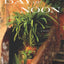 The Bay of Noon: A Novel