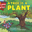 A Tree Is a Plant (Let's-Read-and-Find-Out Science 1)