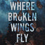 Where Broken Wings Fly: A Small Town Reverse Harem Romance (Briar Valley)