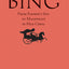 Bing: From Farmers Son to Magistrate in Han China