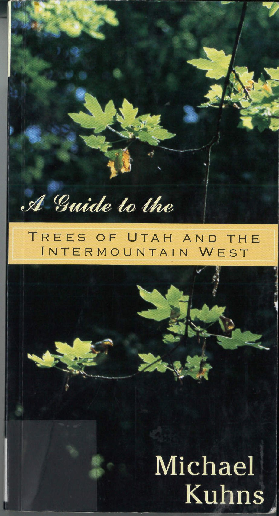 Guide To The Trees Of Utah