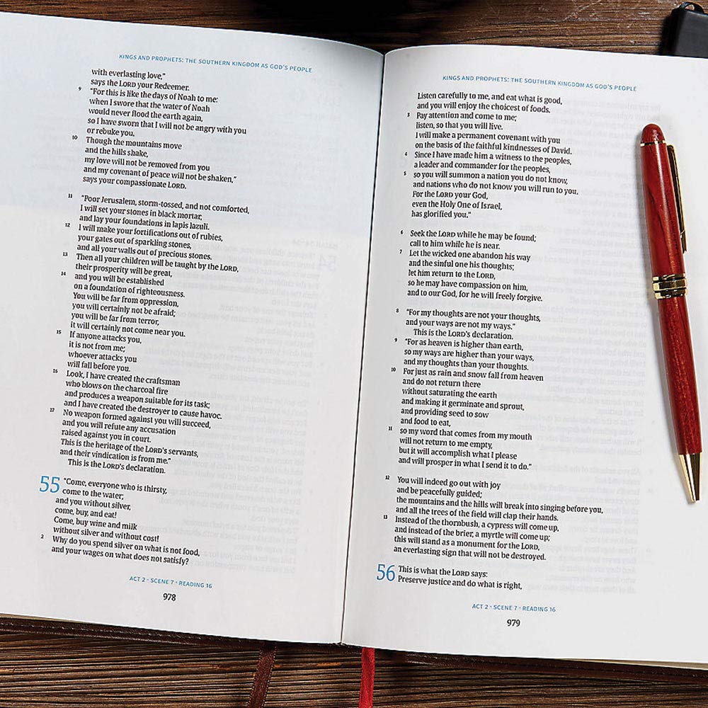 CSB Day-by-Day Chronological Bible, Brown Leathertouch, Black Letter, 365 Day, One Year, Reading Plan, Single-Column, Easy-to-Read Bible Serif Type