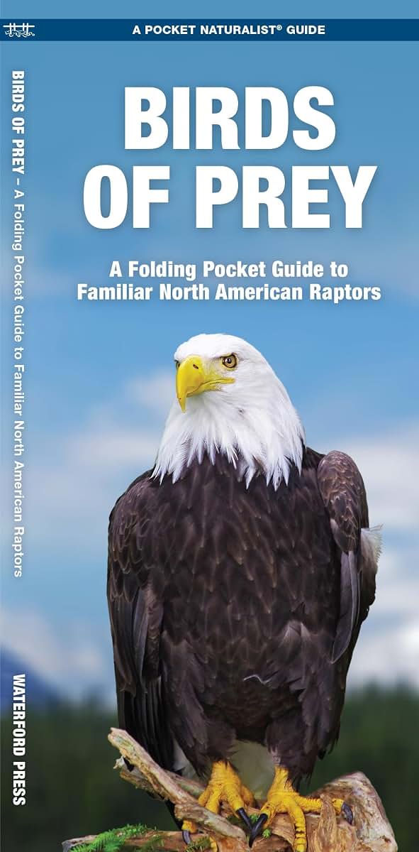 Birds of Prey: A Folding Pocket Guide to Familiar North American Raptors (Wildlife and Nature Identification)
