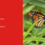 Caterpillar to Butterfly (Science for Toddlers)