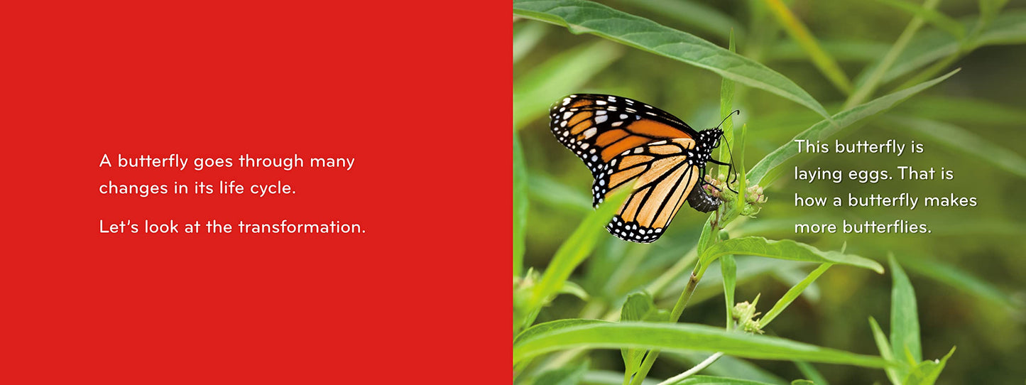 Caterpillar to Butterfly (Science for Toddlers)