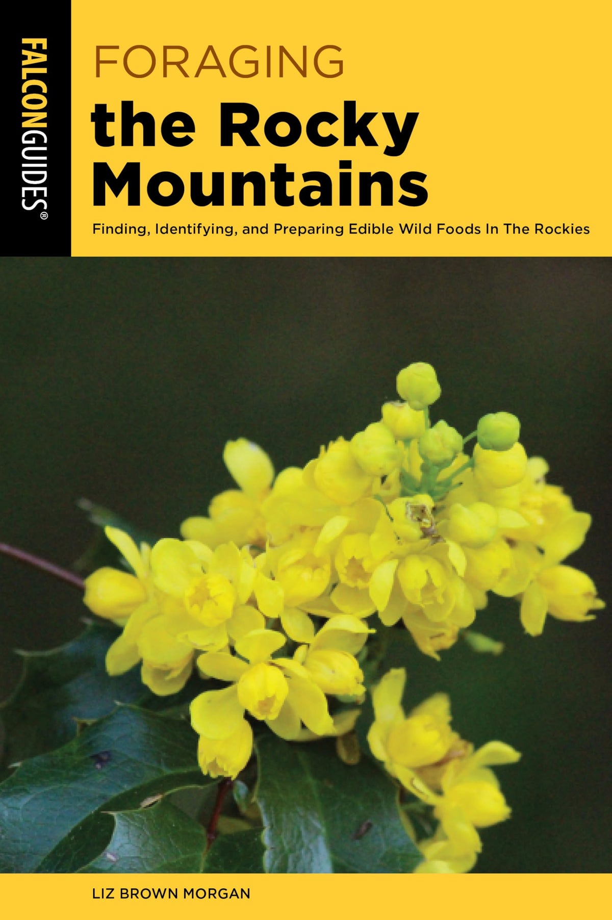 Foraging the Rocky Mountains: Finding, Identifying, And Preparing Edible Wild Foods In The Rockies (Foraging Series)