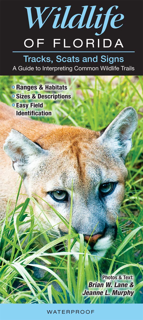 Tracks, Scats & Signs of Florida Wildlife: A Guide to Interpreting Common Wildlife Trails (Quick Reference Guides)