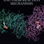 Enzyme Active Sites and their Reaction Mechanisms